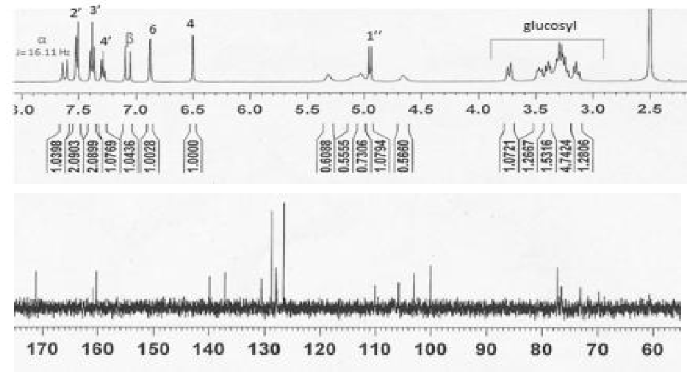 화합물 9의 1H-와 13C-NMR 스펙트라