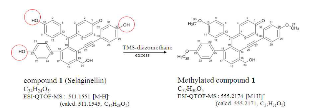 TMS-diaxomethane 에 의한 methylation inhibits으로 화합물 1의 tautomerism 효과 억제