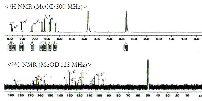 화합물 6 의 1H-와 13C-NMR 스펙트라
