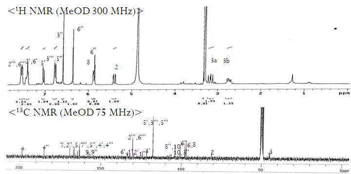 화합물 7 의 1H-와 13C-NMR 스펙트라