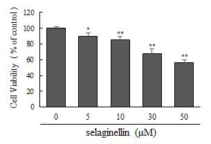 Selaginellin 의 HCT116 세포주에서의 세포독성