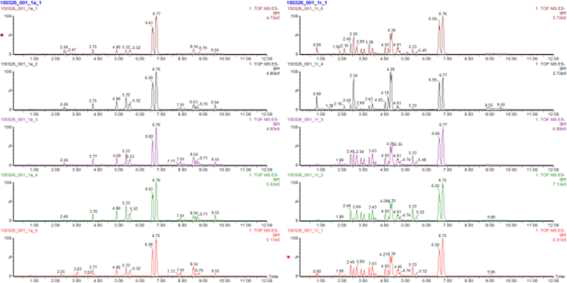 UHPLC-QTOF-MS로 분석한 개면마 지상부 및 지하부의 Chemical profile