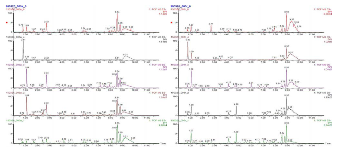 UHPLC-QTOF-MS로 분석한 관중 지상부(좌) 및 지하부(우)의 Chemical profile