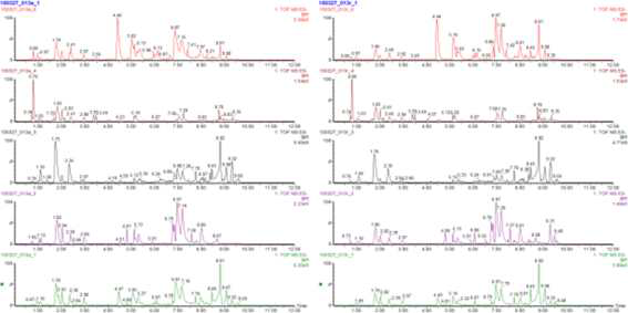 UHPLC-QTOF-MS로 분석한 홍지네고사리 지상부 및 지하부의 Chemical profile