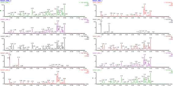 UHPLC-QTOF-MS로 분석한 왕지네고사리 지상부 및 지하부의 Chemical profile