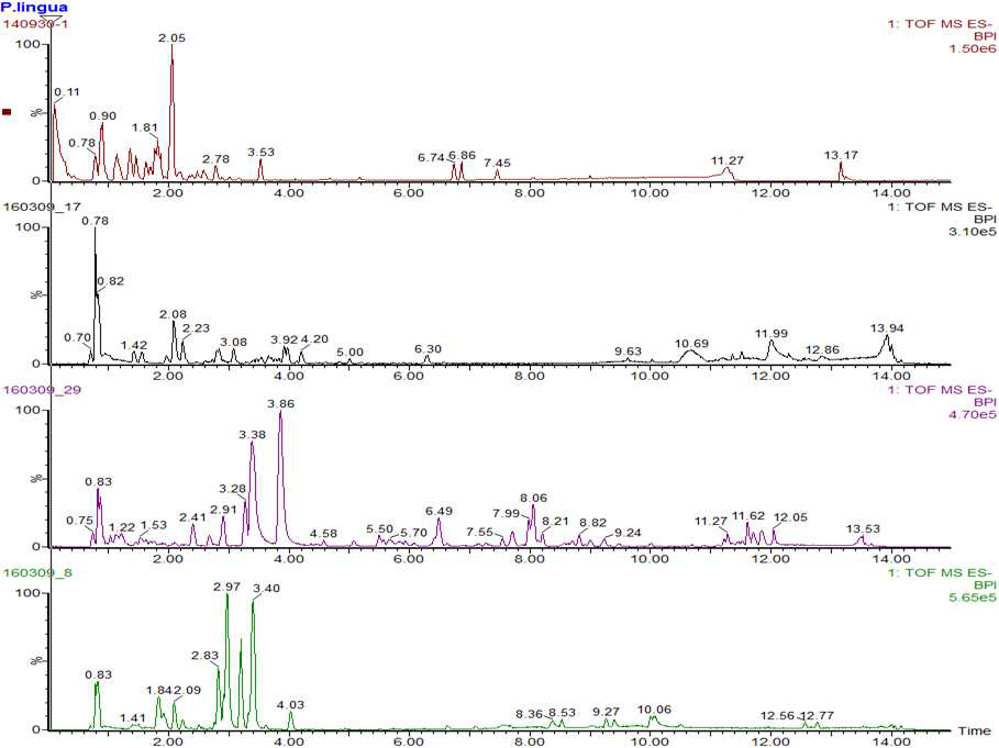 UHPLC-QTOF-MS로 분석한 석위속 식물의 Chemical profile(위에서부터 석위, 창날석위, 왕 석위, 세뿔석위)