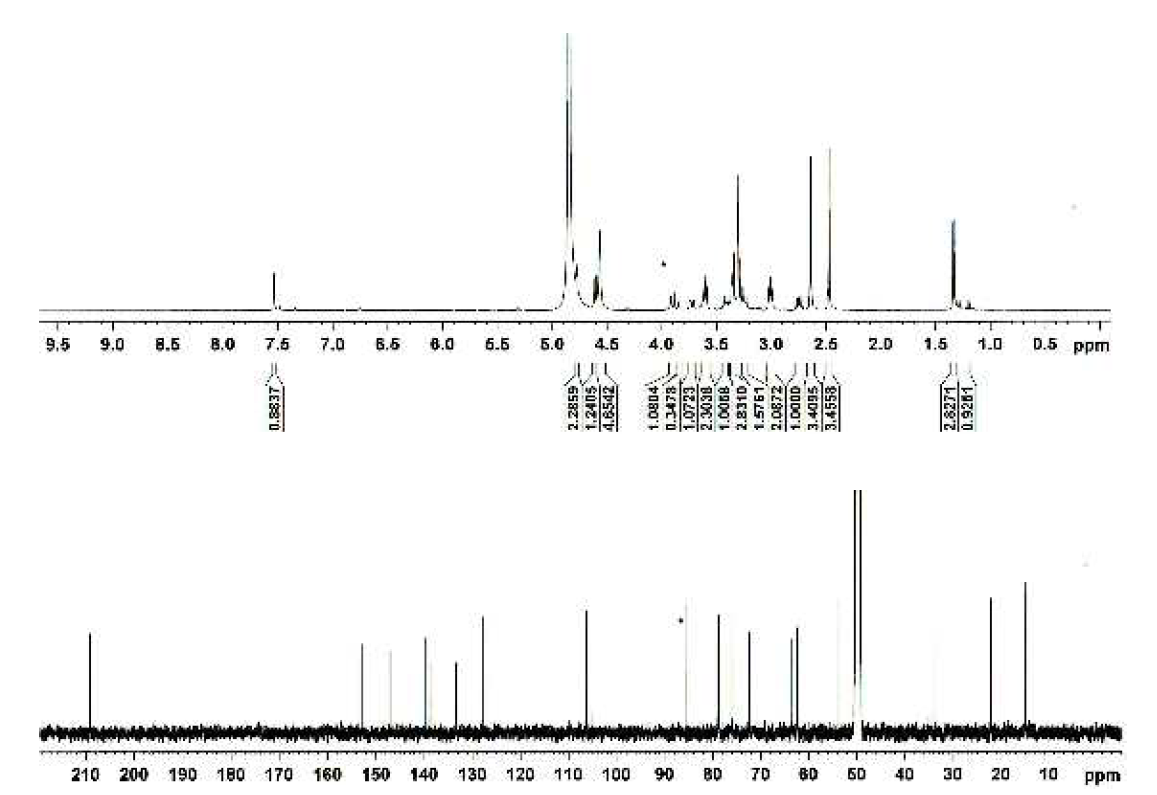 화합물 17의 1H- 와 13C-NMR 스펙트라
