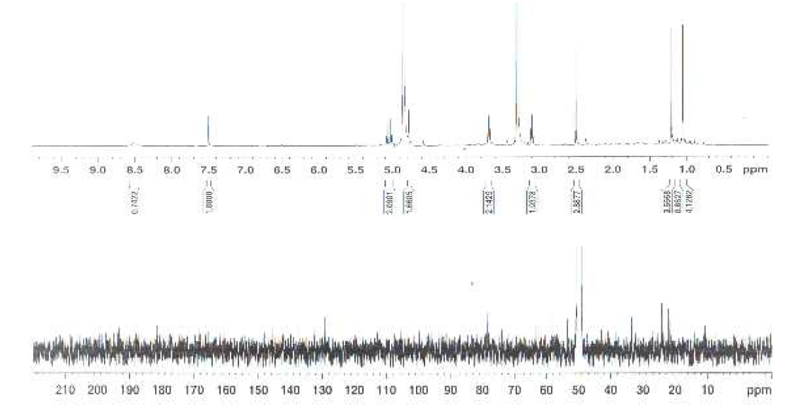 화합물 22의 1H- 와 13C-NMR 스펙트라