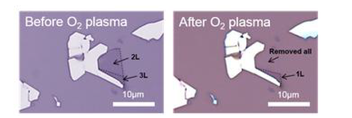 MoS2의 O2 플라즈마 처리를 통한 원자층 두께 의 식각을 나타내는 광학 현미경 사진