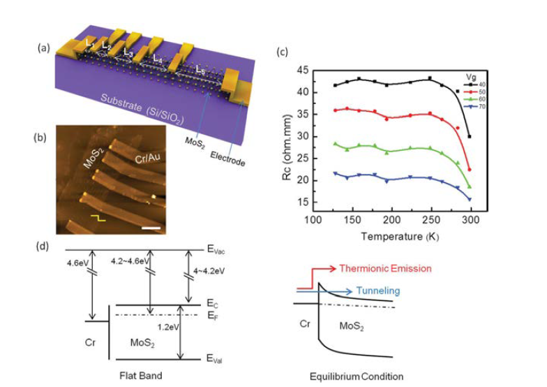 MoS2와 전극 사이의 전자 전송 해석을 위한 온도 에 따른 접촉 저항 변화와 밴드 다이어그램