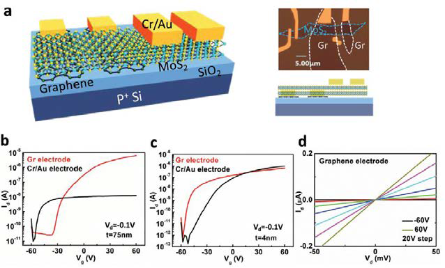상부 Cr/Au 전극과 하부 그래핀 전극을 이용한 MoS2 소자의 모식도, 광학 현미경 사진 및 전기적 특성 평가