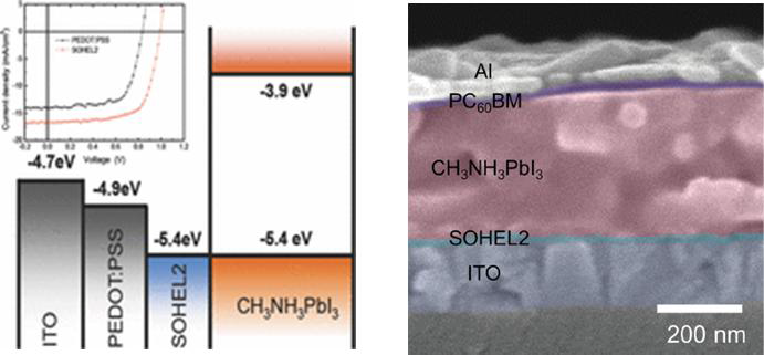 페로브스카이트 태양전지 구조 및 TEM 단면 이미지.