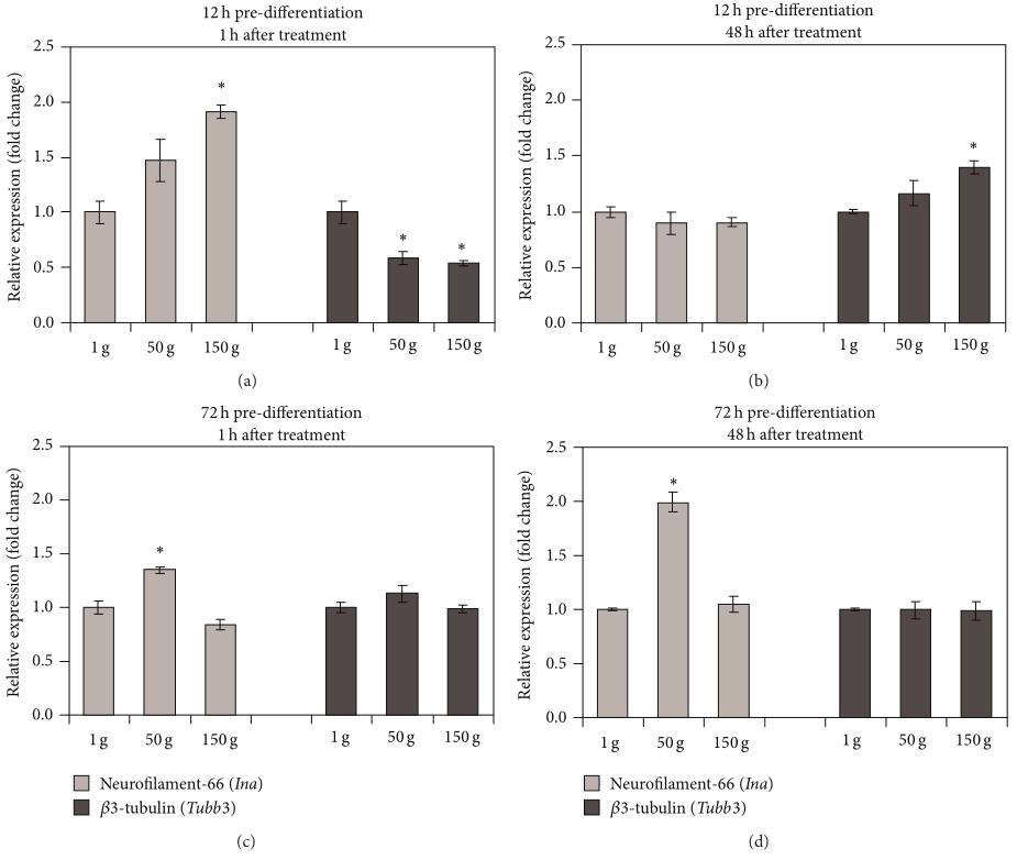 전분화 조건 다양화 및 과중력 상태에서 신경세포 표현 인자들의 qPCR 결과 (Genchi et al.)