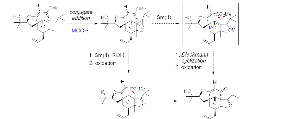 α,β-Epoxy ketone의 활용 계획