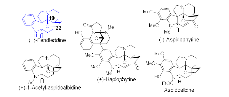 Aspidoalbidine 계통의 천연물