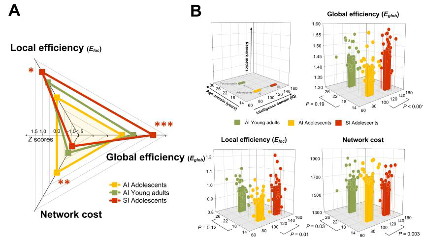 Global graph metrics of the study groups