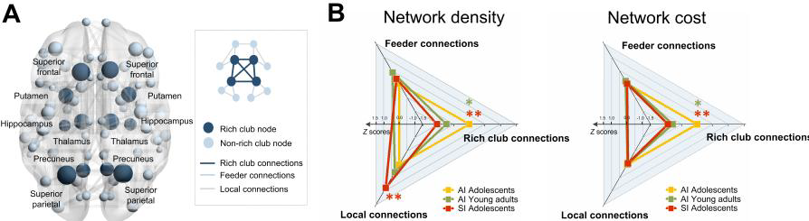 (A) Group-averaged reconstructed structural brain network represents rich club members including the bilateral superior frontal, superior parietal, precuneus, hippocampus, putamen, and thalamus (dark blue circles) and non-rich club members (light blue circles). Three-dimensional rendering of brain network in the MNI space was generated by using BrainNet viewer (Xia et al. 2013). (B) Standardized Z scores of network density and cost for rich club, feeder, and local connections were calculated using the corresponding means and standard deviations of the AI adolescent group and were plotted in the radar chart.