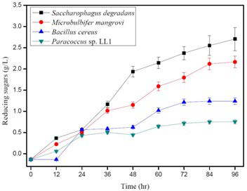 Changes in production of reducing sugars by four species of alginate degrading bacteria after growing in minimal sea salt medium containing 5 g/L sodium alginate