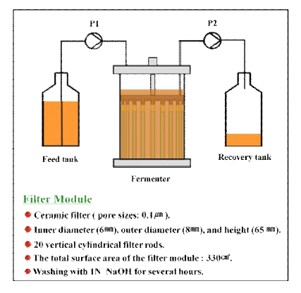 Schematic diagram of continuous culture with internal filtration system.