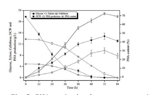 PHA production from corn stover hydrolysate containing 40 g/L sugar using Paracoccus sp. LL