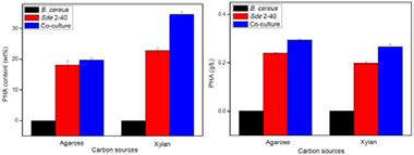 PHA contents and concentrations of S. degradans, B. cereus, and co-culture on agarose and xylan