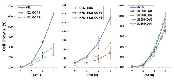 HEL, RPMI8226, U266 세포에서 KDM3A knockout이 세포 성장에 미치는 영향 분석.
