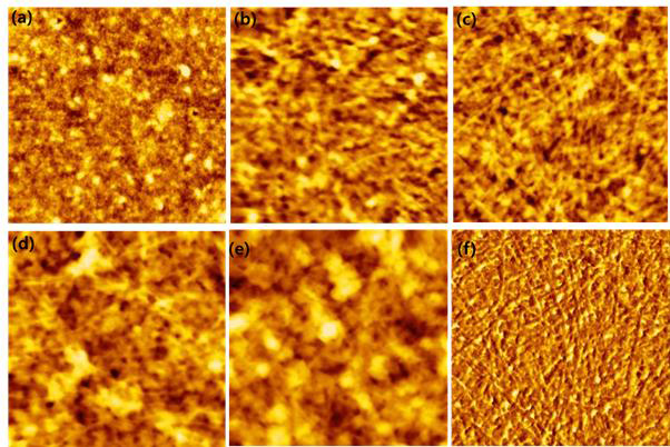 AFM height images of P3HT thin films with (a) 0%, (b) 2.5%, (c) 5%, (d) 7.5%, and (e) 10% AN. (f) AFM phase image of the P3HT thin film with 5% AN.