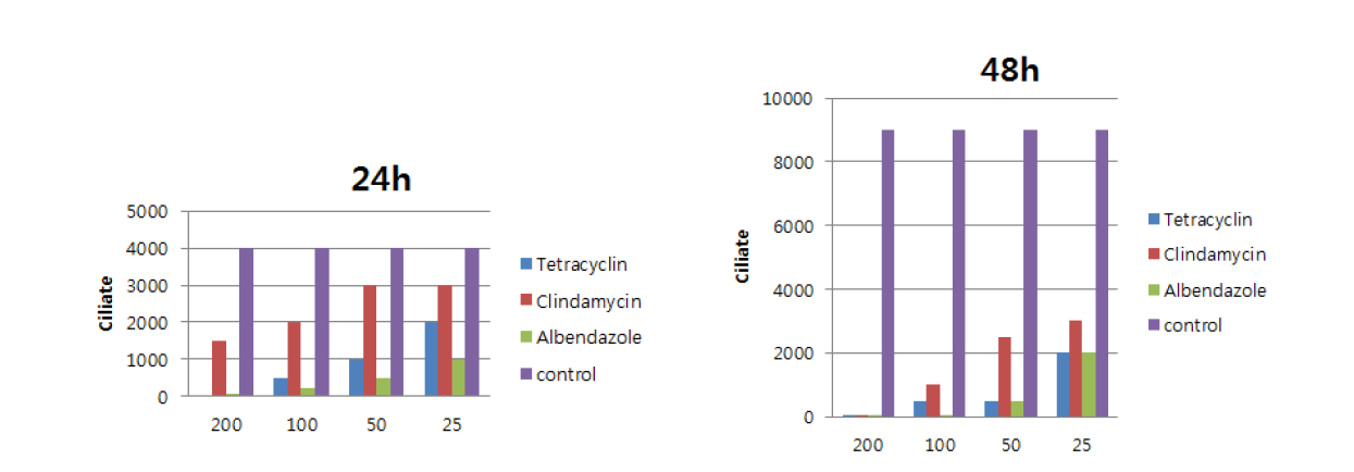 in vitro scuticocidal activity of tetracycline, clindamycin, and albendazole.