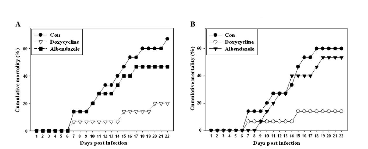 Oral treatment. Cumulative mortality rates of olive flounder (Paralichthys olivaceus) fingerlings fed with 2% doxycycline diet or 2% albendazole diet.