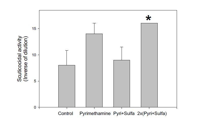 Scuticocidal activity of sera collected from olive flounder (Paralichthys olivaceus) fingerlings orally administered with pyrimethamine 1.25 mg/kg of fish, pyrimethamine 1.25 mg + sulfadoxine 25 mg/kg of fish (Pyri+Sulfa), pyrimethamine 2.5 mg + sulfadoxine 50 mg/kg of fish (2x(Pyri+Sulfa)), or phosphate buffered saline alone (Control).