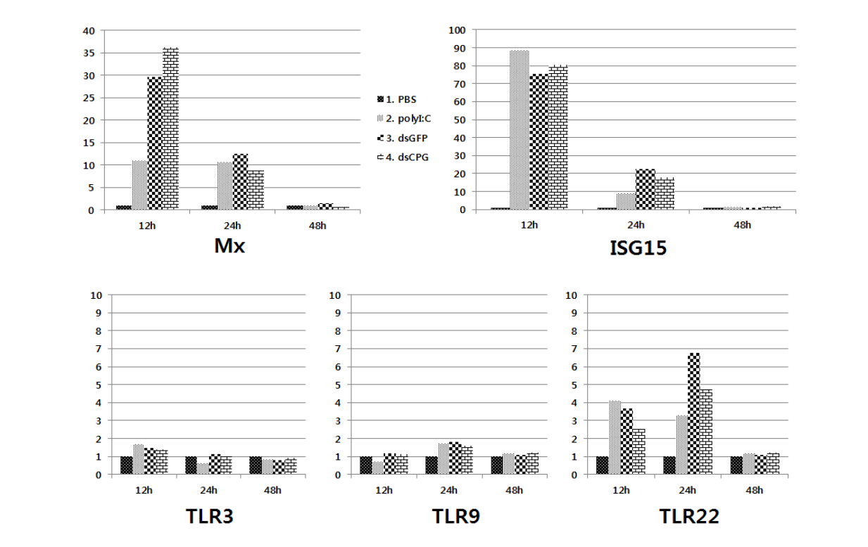 Real-time RT-PCR analysis of Mx, ISG15, TLR3, TLR9, and TLR22 genes in the kidney of olive flounder (Paralichthys olivaceus) that were administered with poly I:C, long dsRNA-GFP, long dsRNA-CpG30 or PBS.