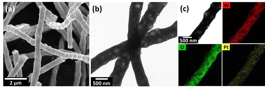 Pt 촉매가 결착된 다공성 텅스텐산화물 나노섬유의 (a) 주사 전자현미경 이미지 및 (b) 투과 전자현미경 (TEM) 이미지. (c) 투과 전자현미경을 이용한 pt 촉매가 결착된 다공성 텅스텐산화물 나노섬유의 성분분석.