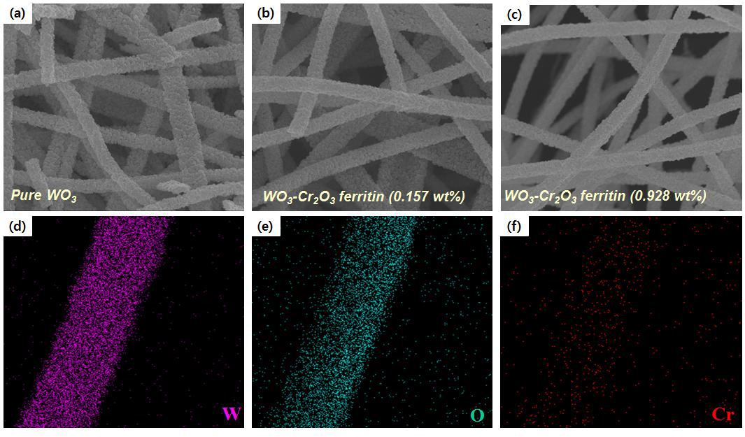 단백질 희생층으로 합성된 크롬 나노입자가 함유된 텅스텐 산화물 나노섬유의 주사전자 현미경 이미지
