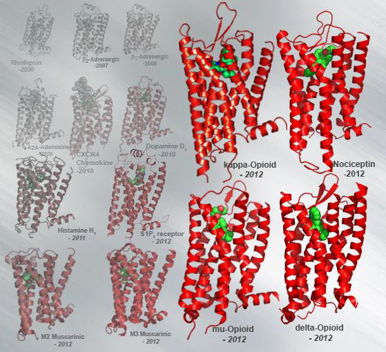 2012년 현재까지 밝혀진 GPCR 구조들 (Courtesy of Stevens lab)