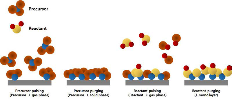 원자막 증착법(ALD)의 증착 원리