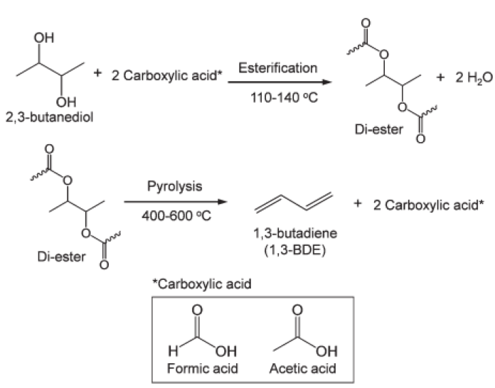 2,3-부탄디올로부터 1,3-부타디엔을 생산하기 위한 순차적 esterification-pyrolysis 반응 모식도