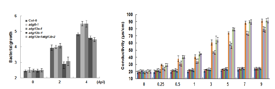 Pst DC3000 (avrRpm1) 주입 후 병원균 생장조사(좌) 및 Ion conductivity 측정(우)