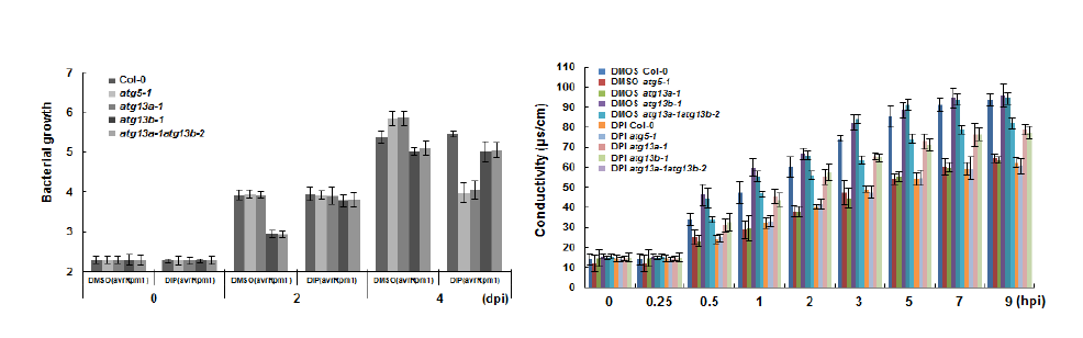 Pst DC3000 (avrRpm1)와 DPI 주입 후 병원균 생장조사(좌) 및 Ion conductivity 측정(우)