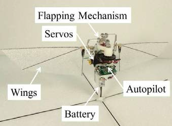 UMD/Texas A&M의 날갯짓 비행로봇 [30]