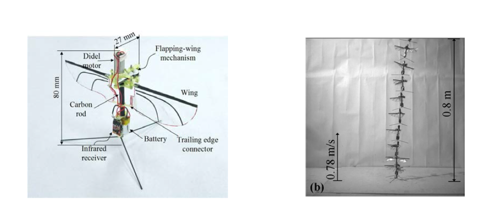 건국대 곤충 모방 날갯짓 초소형 비행체: (좌) 시스템 구성 (우) 無제어 수직 이륙 비행