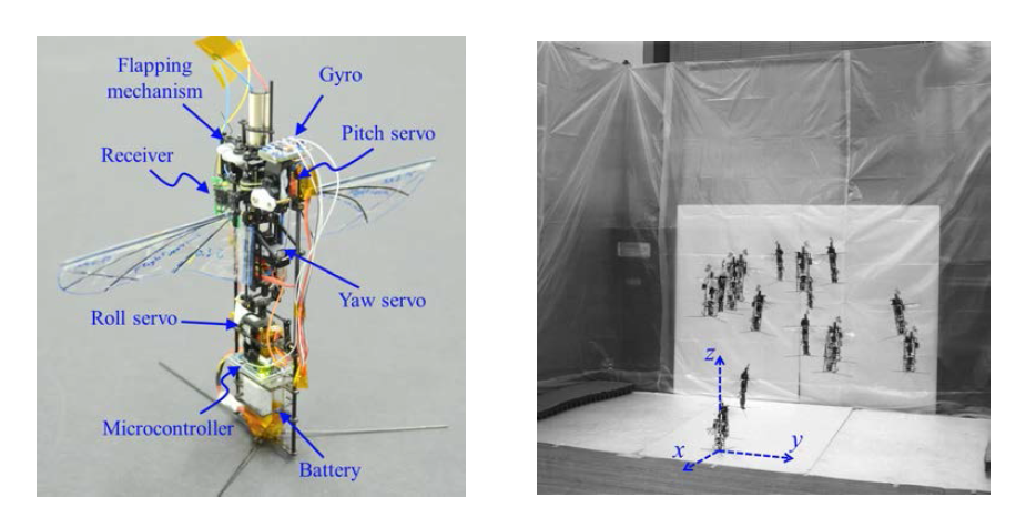제어비행에 성공한 날갯짓 초소형 비행체(좌)와 초고속 카메라로 촬영한 제어비행 모습