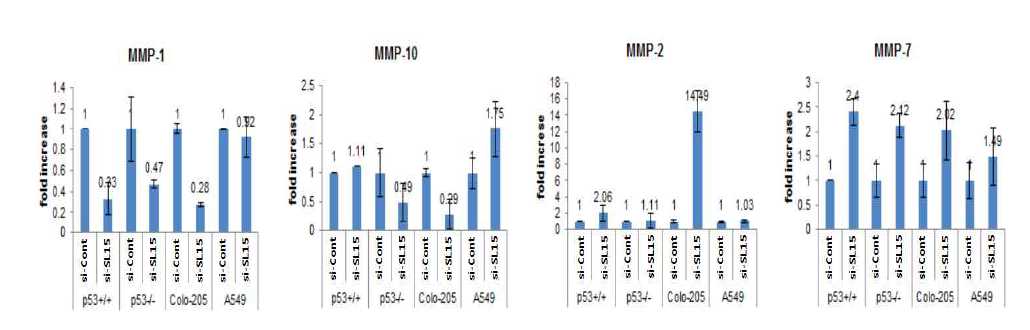 SL-15 억제에 의한 암세포주에서 MMPs 발현량 조사 (Quantative-RT-PCR)