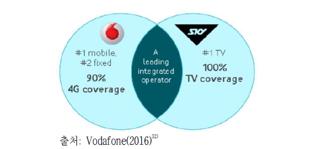 Vodafone NZ-Sky 합병 후 법인