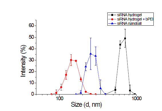 SYBR labeling된 siRNA hydrogel의 coating과정에 따른 size 변화