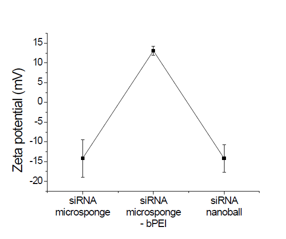 SYBR labeling된 siRNA hydrogel의 coating과정에 따른 zeta potential 변화