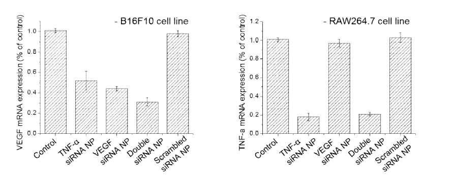세포내 siRNA NP의 효능 분석을 위한 Real-time PCR data
