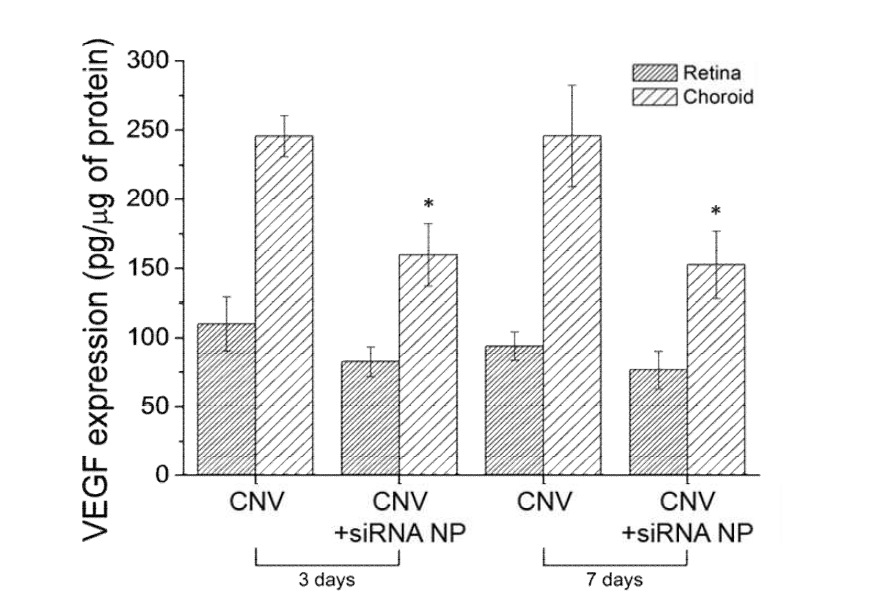 mouse CNV 모델에서 siRNA NP 주입 후 3일 7일 차에서 ELISA 분석을 통한 VEGF 단백질 발현 분석 그래프