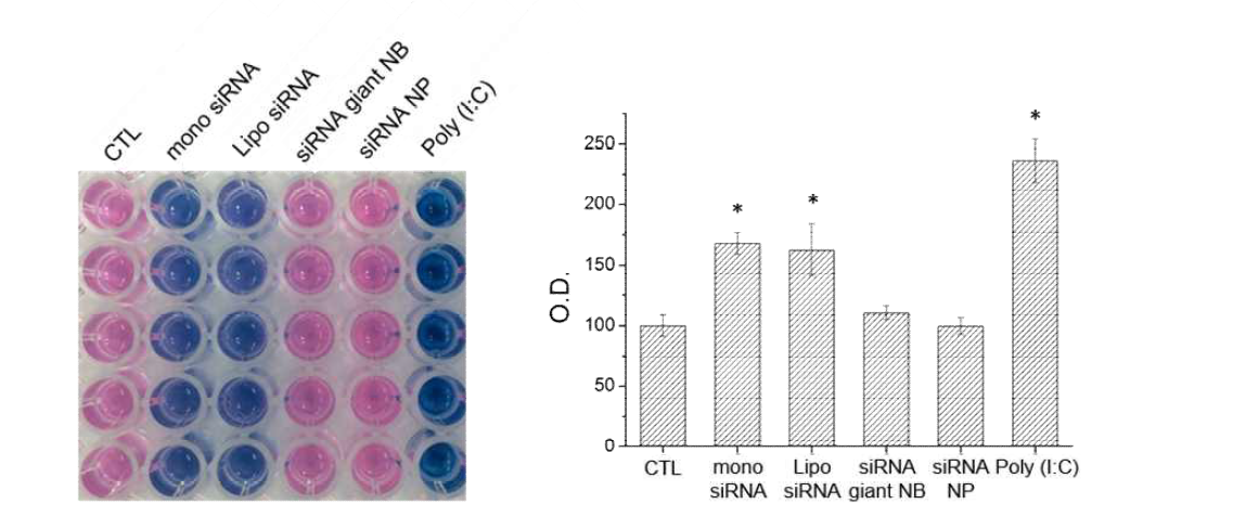 HEK-BlueTM mTLR3 세포에서의 siRNA giant 나노볼과 siRNA NP의 TLR3 receptor 반응