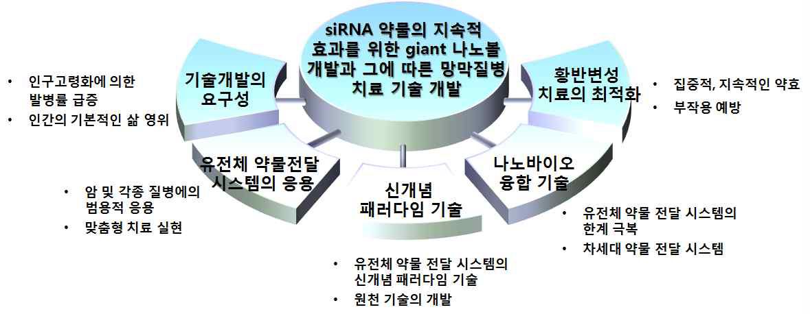 siRNA giant 나노볼 기반의 나노메디슨 약물 전달 시스템 개발의 연구 특성