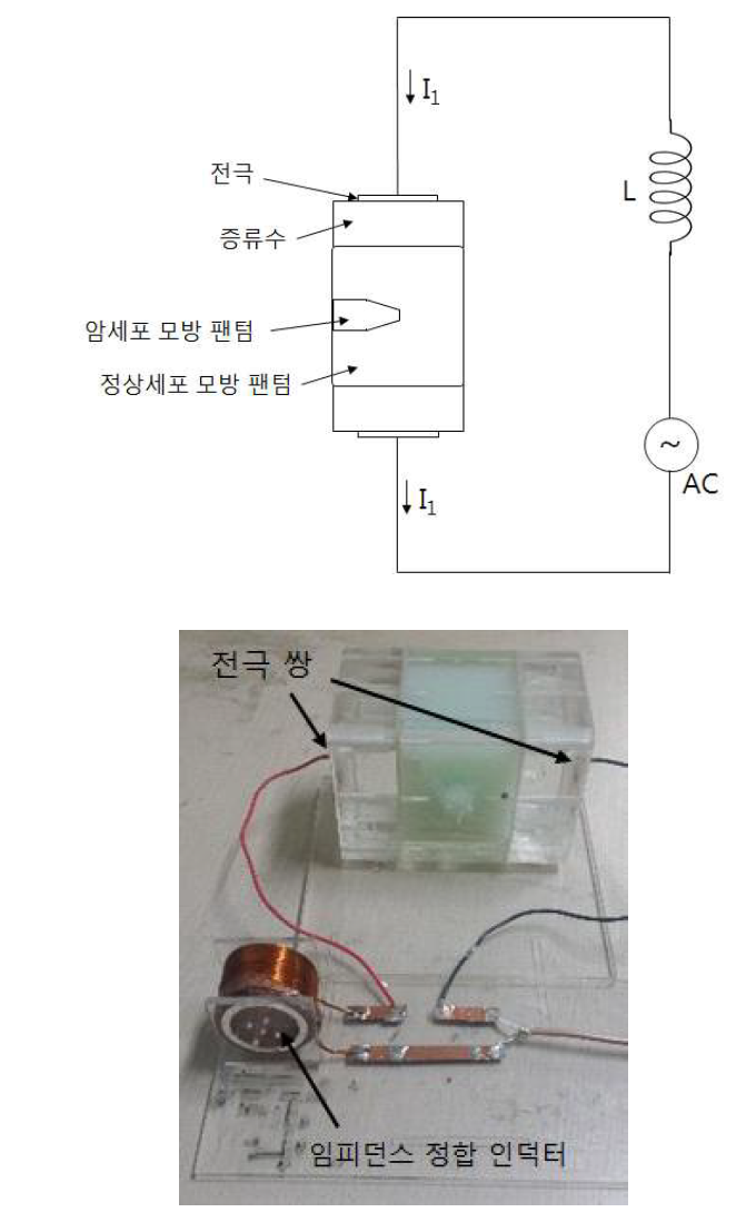 고주파 전류 인가 시스템을 간략적으로 보여주는 그림과 실제 사진 모습